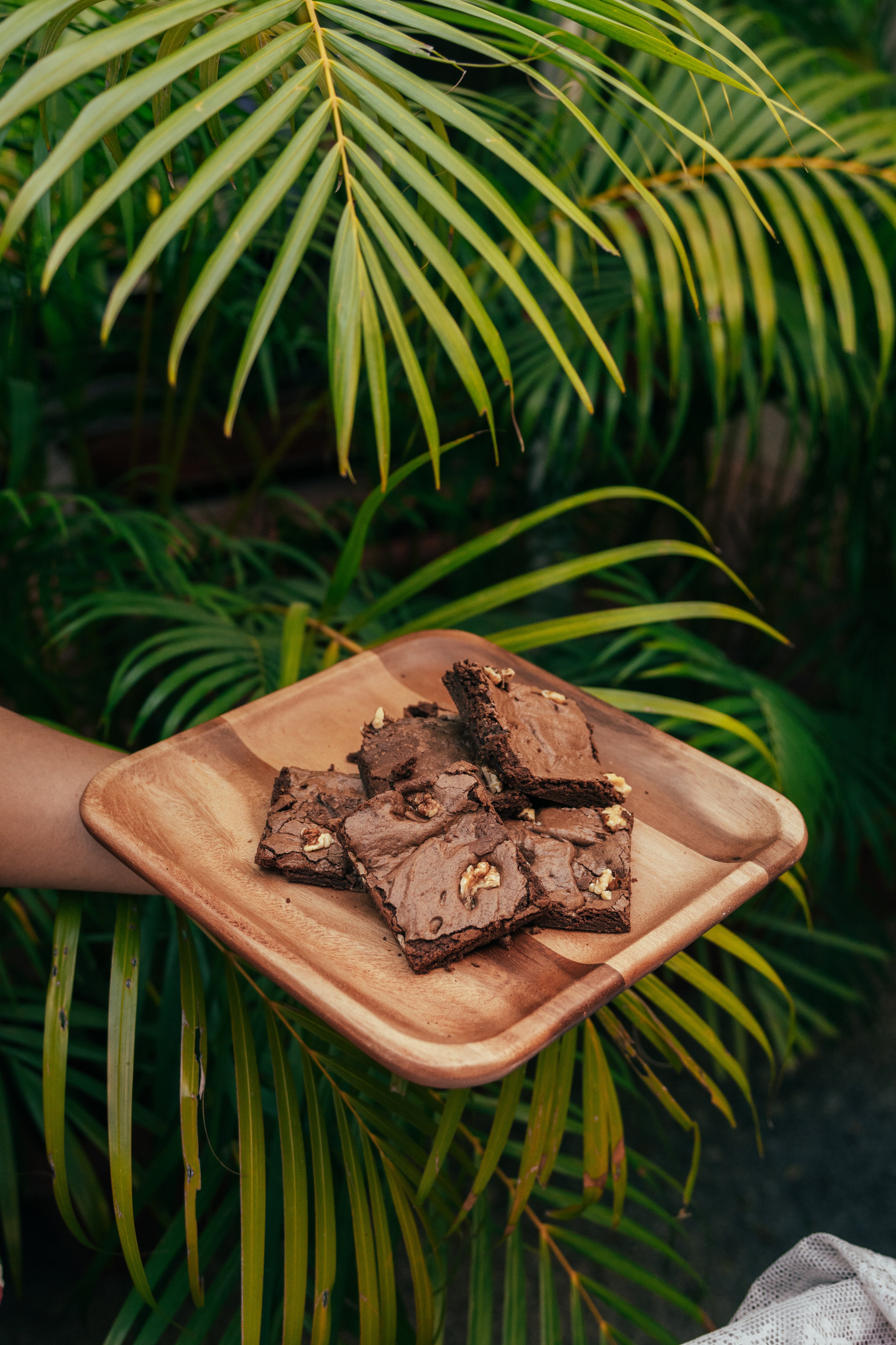 Choco Fudgy Brownies