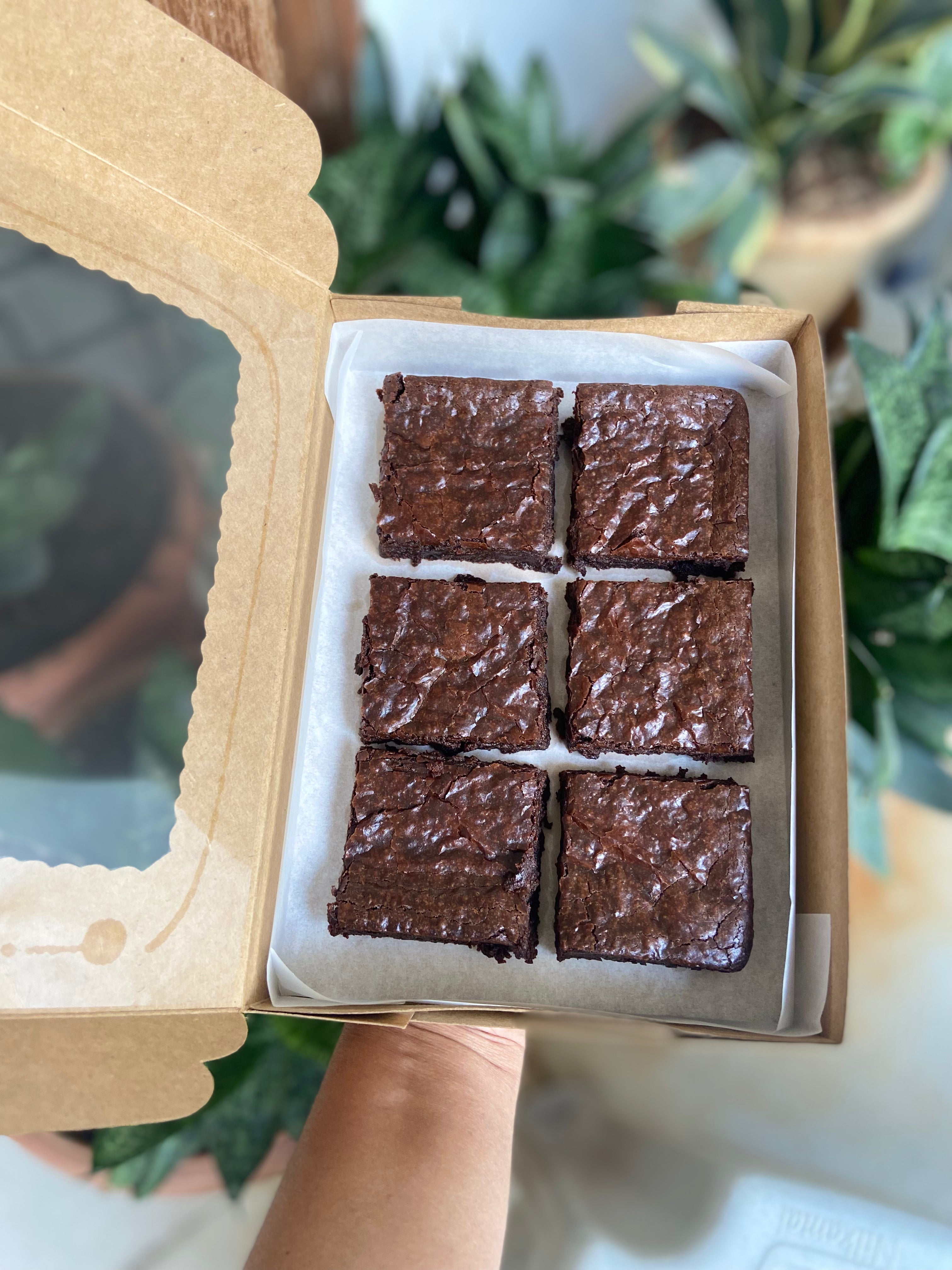 Classic chocolate brownie